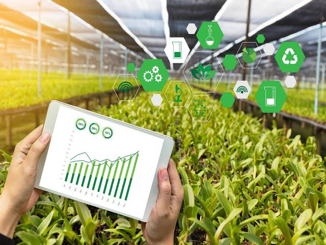 Agri 2.0: Indian Startups Cultivate Smart Storage, Fintech & Climate-Resilient Farms