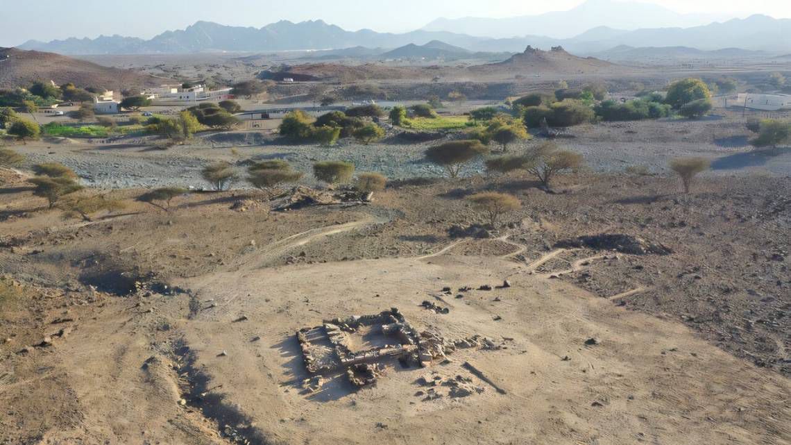 Oman’s Ancient Hit: 4,000-Year-Old Instrument Rocks the Archaeological Stage