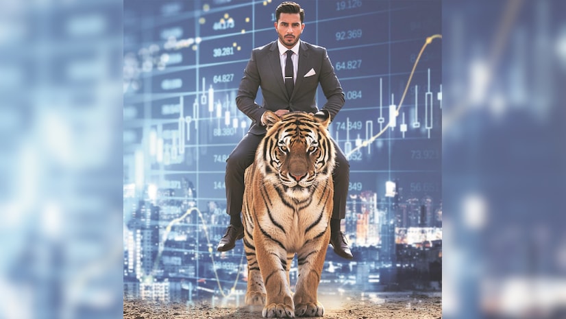 India's Market Valuations: Can the Tiger Be Tamed?