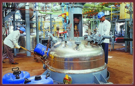 Vinyl Chemicals Reports 72.7 Million Rupees Profit in Q4, Revenue Reaches 1.73 Billion Rupees