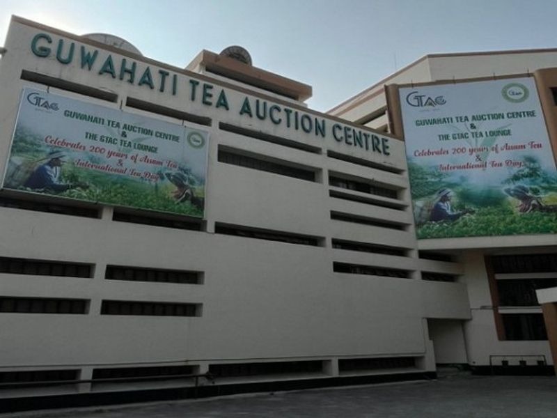 Guwahati Tea Auction Centre Achieves Record Sales in FY25