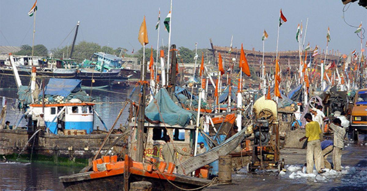 Hooked on Growth: Gujarat Nets ₹50 Cr Grant, Rises to 2nd in Marine Catch