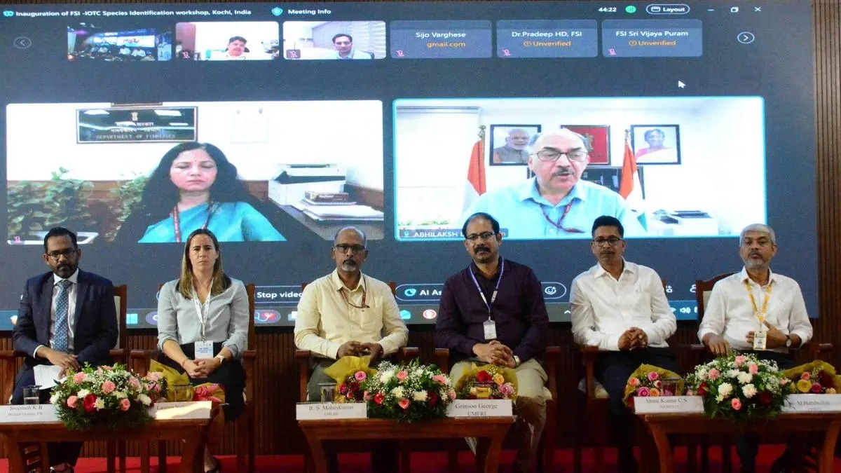 E-Observer System Set To Change How India Monitors Its Vast Fishing Industry