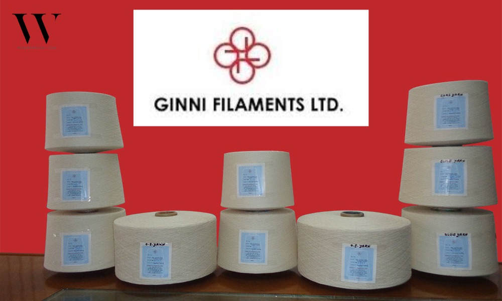 Ginni Filaments Q1 Financial Results: Revenue Hits ₹1.03B