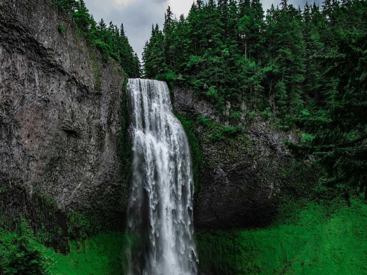 Nature's Symphony: The Best Waterfalls Near Shimla