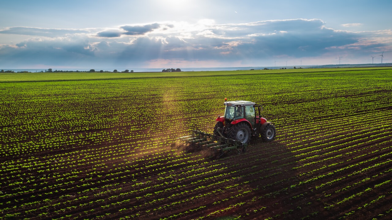 Agricultural Sector Shows Strong Momentum Amid Economic Growth, Says RBI Governor