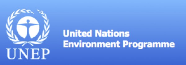 Cooling the Concrete Jungle—UN Endorses Tamil Nadu’s Roof Revolution