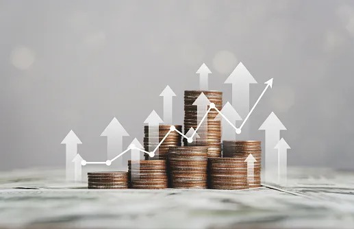 Gourmet Gateway India Ltd. Invests ₹11.2 Million in Subsidiary