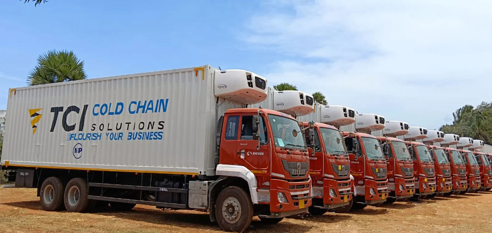 Moving Ahead Smoothly: TCI’s September Quarter Delivers Solid Gains