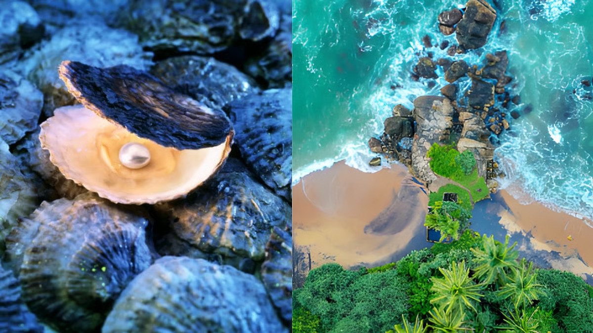 Sri Lanka's Pearl Mystery: Gems, Spies & Beaches That Stole Explorers' Hearts