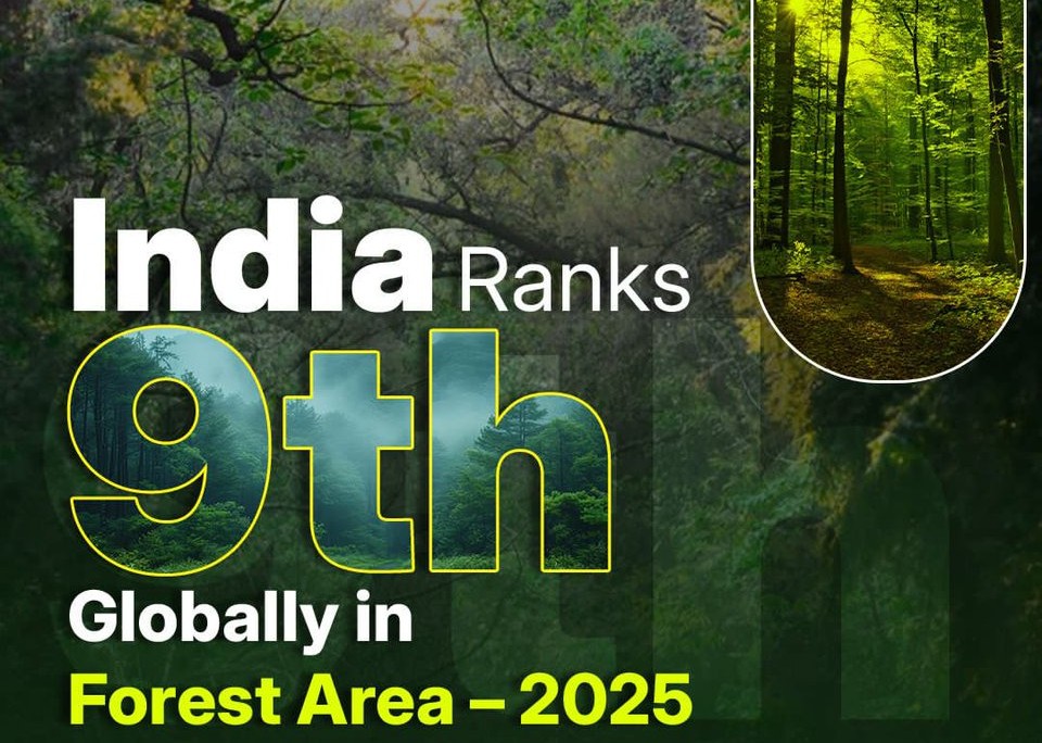 India Climbs To 9th Globally In Forest Area, Retains 3rd In Forest Gain
