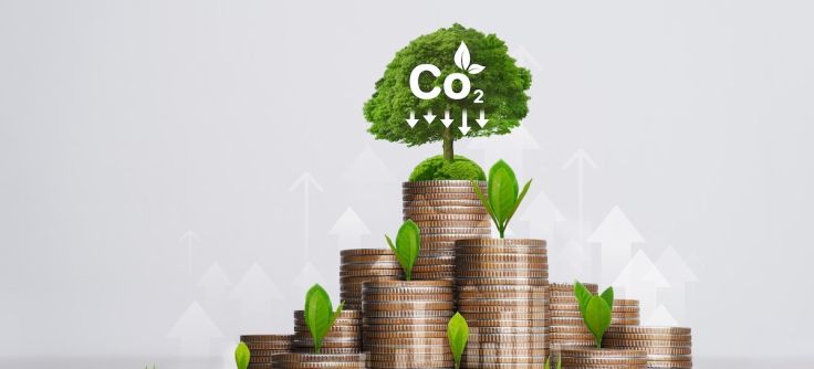 The Steep Price of Eco-Sustainability Strains Household Budgets