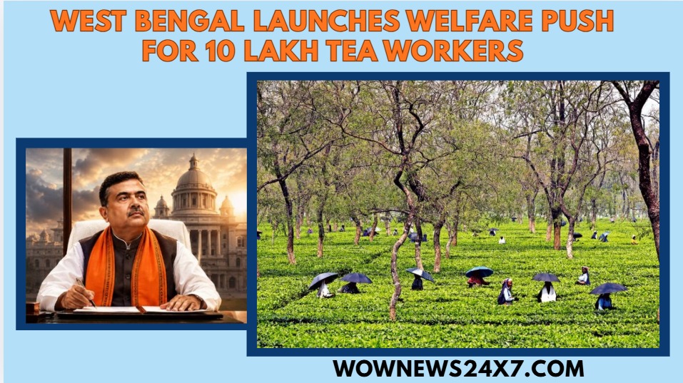 West Bengal Rolls Out ₹313-Crore Welfare Scheme for Tea Workers