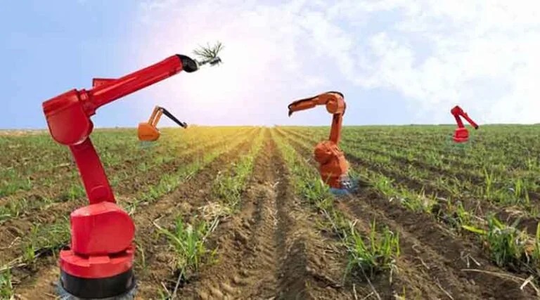 Harvesting the Future: How India’s Agriculture is Tackling Challenges and Sowing Seeds of Innovation