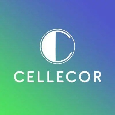 Cellecor Gadgets Approves FCCBs Offering Up to ₹3 Billion