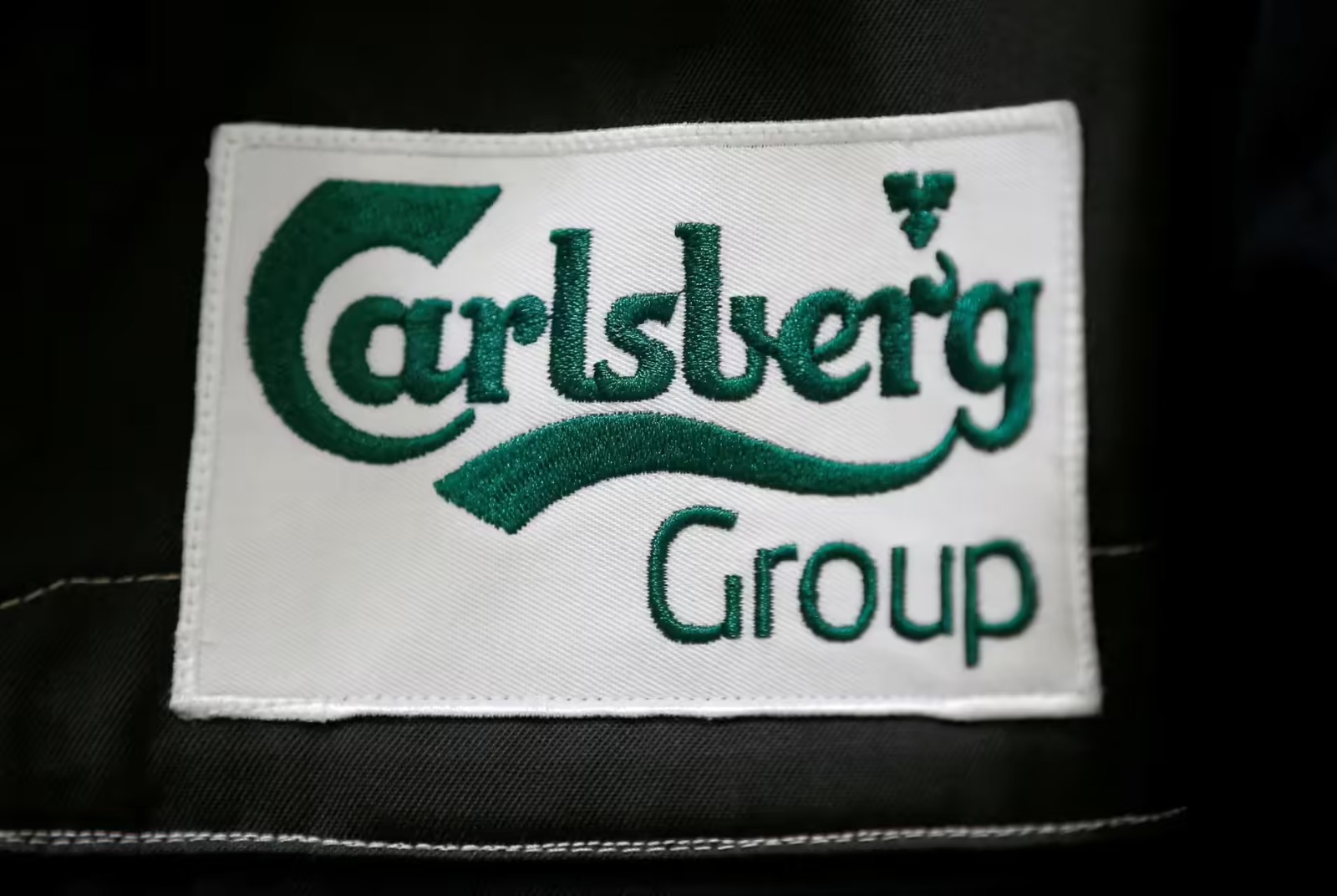 Carlsberg Prepares $700 Million IPO for India Unit