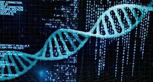 BioE3 Policy Sparks Cell & Gene Therapy Revolution in India