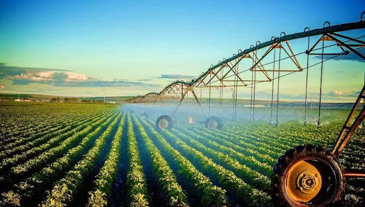 Sowing the Seeds of Tech: Google Expands Agri APIs to Southeast Asia & Japan