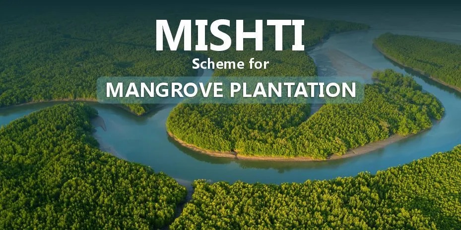 Project MISHTI: Mangroves Get a Green Lifeline in the Sunderbans