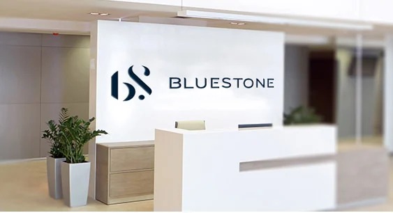 Bluestone Jewellery Posts Robust Q3 Results