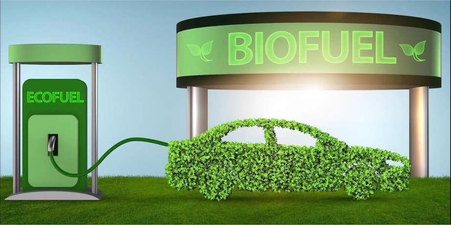 Universal Biofuels readies for late 2025 IPO as India biofuel expansion gathers pace.