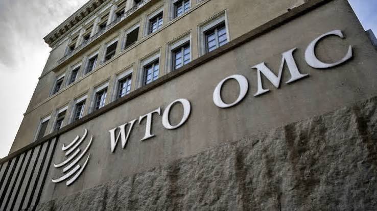 WTO: India Must Tackle Structural Challenges to Realize Viksit Bharat