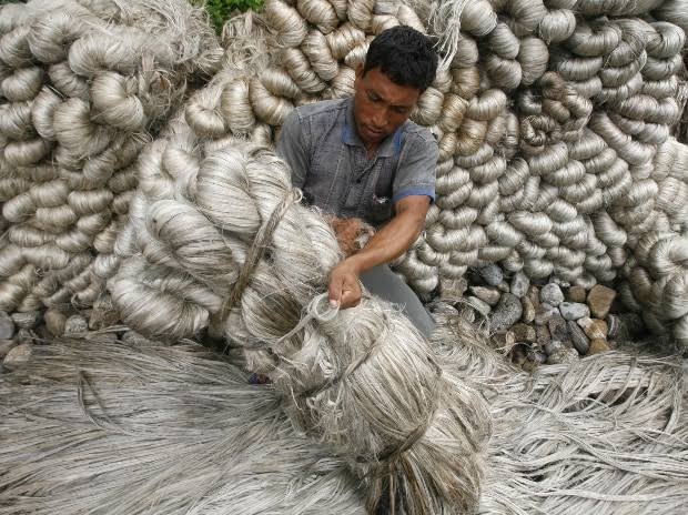 Battle of the Bags: Jute Sector Fights Back Against Synthetic Invasion