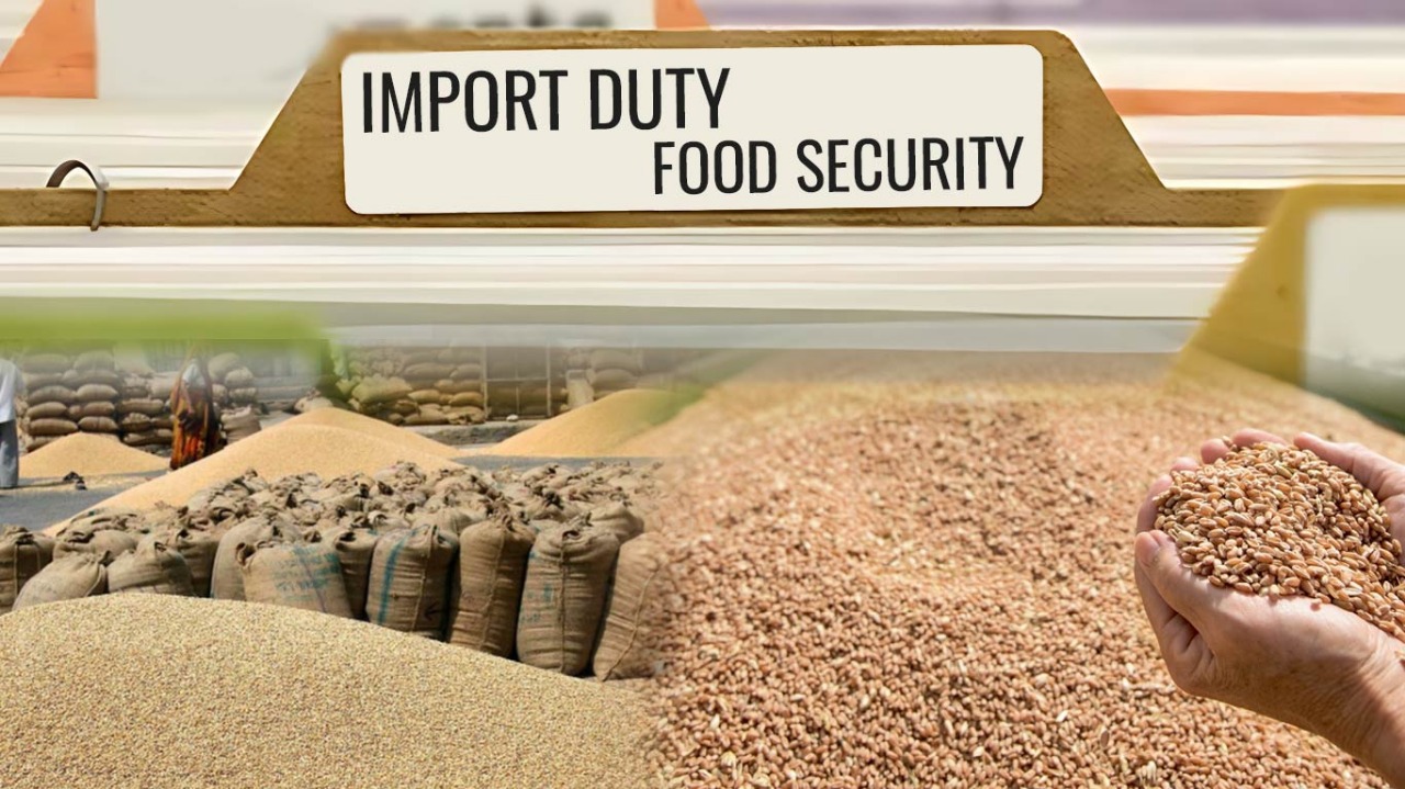 Feast or Folly: The High-Stakes Grain Game in US-India Trade Talks