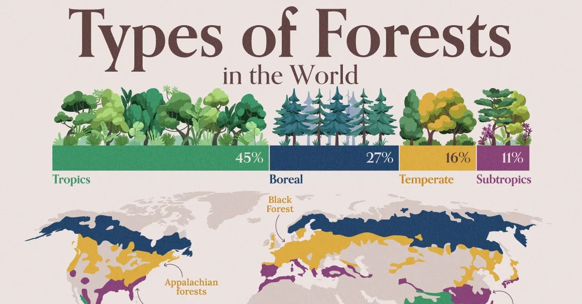 Forests of the World: Mapping the Four Major Types