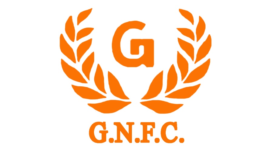 Leakage at GNFC Dahej Plant? GNFC’s TDI-II Plant Leak Contained Without Casualties