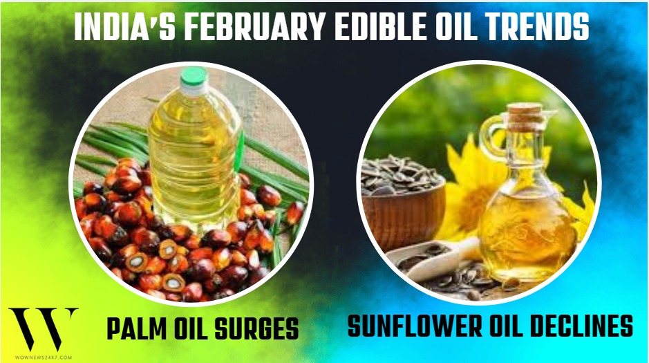India’s Edible Oil Imports Show Mixed Trends: Palm Oil Demand Climbs, Sunflower Oil Supply Shrinks