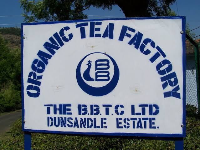 Brewing A New Chapter: BBTC’s Billion-Rupee Tea Estate Sale Marks Strategic Pivot