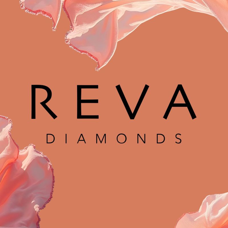 Reva Shines Bright in IPO Spotlight with ₹450 Cr Draft Filing