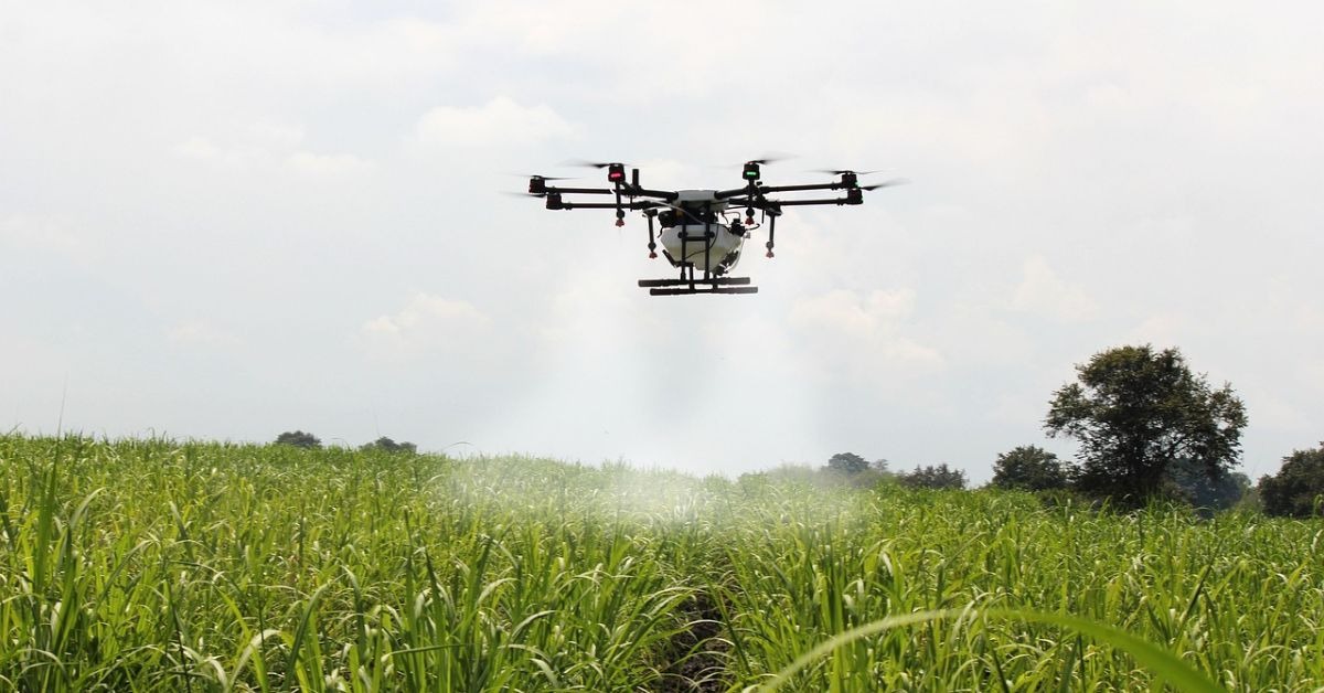Haryana’s Drone Army Takes Flight—Will AI Save Crops from Invisible Threats?