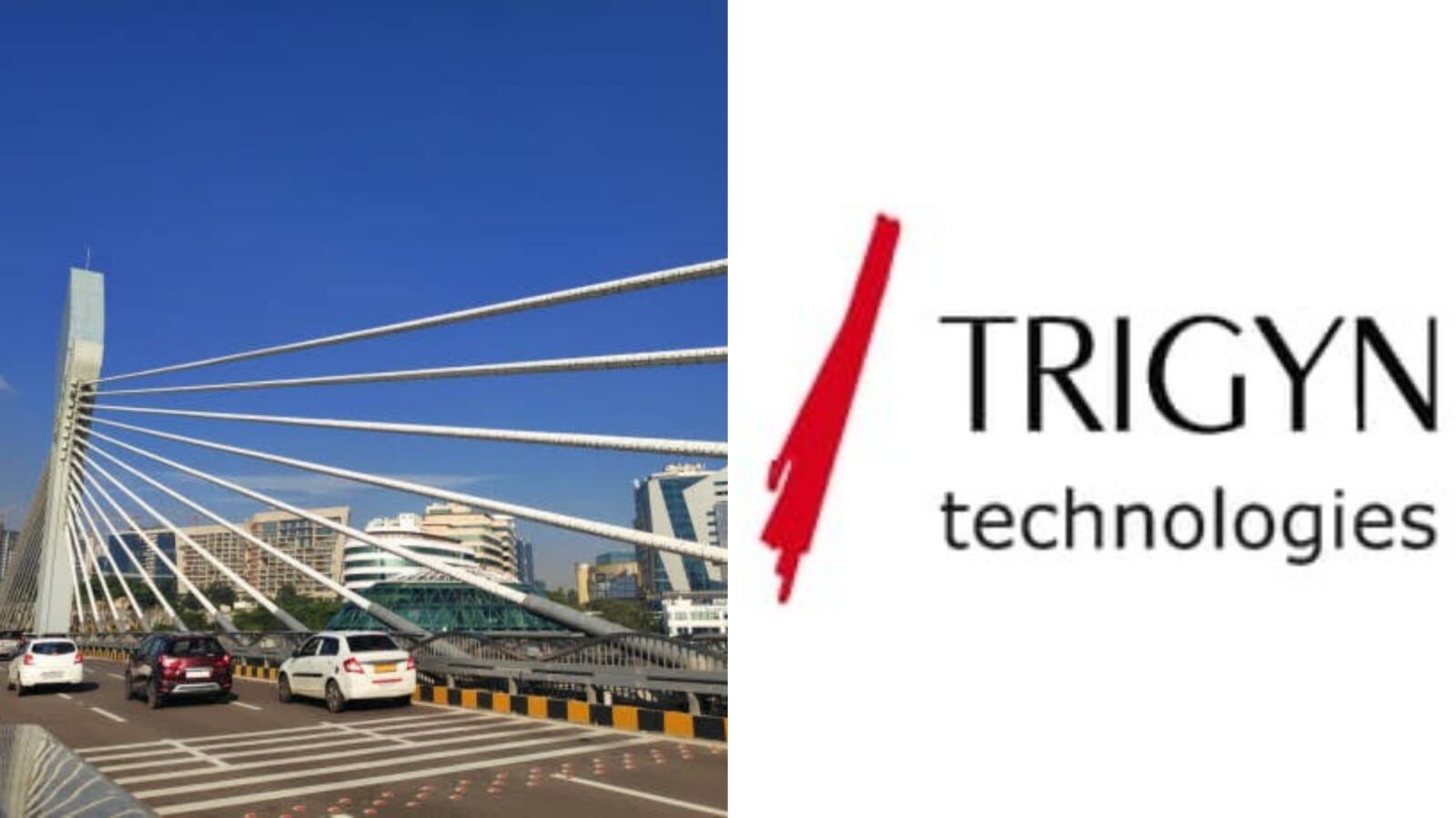 Leadership Reboot: Trigyn Technologies Welcomes Vikram Chandna as CEO