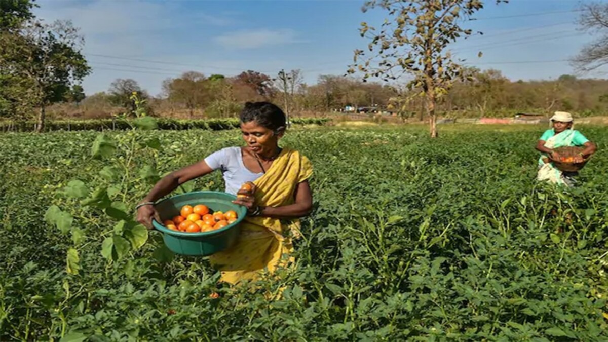 Sowing Growth: Indian Agriculture Market Set to Reach 38 Lakh Crore by FY30