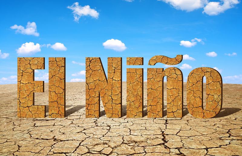 Blowing Hot and Cold: Strong El Niño Leaves Tropical Commodities Exposed