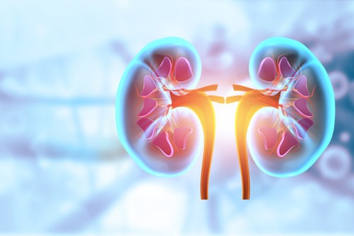Kidney Disease’s Secret Code Cracked: Scientists Reveal Predictive Biological Signals