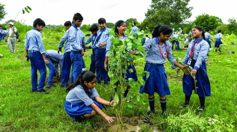 Massive Green Initiative: Over 5 Lakh Trees Planted in Educational Institutions