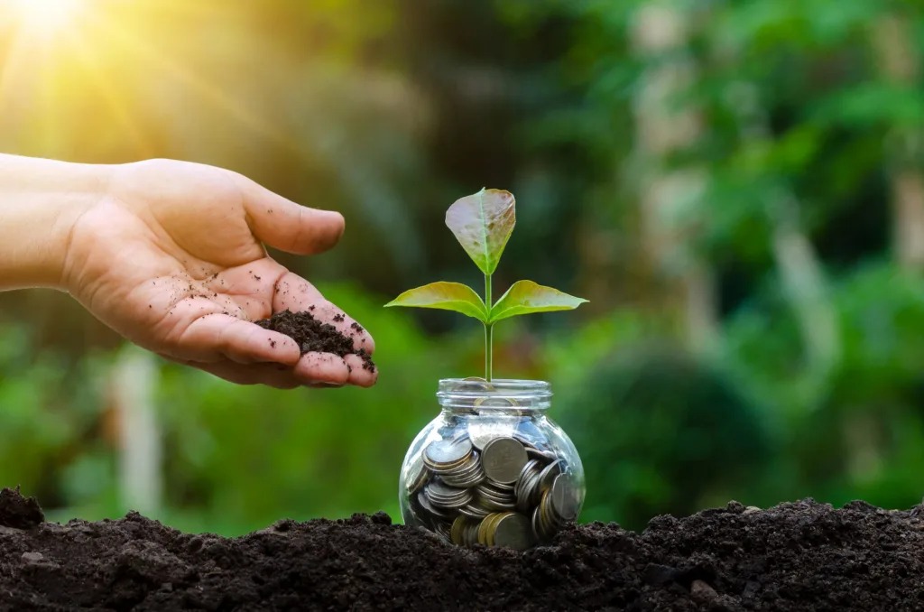 Budget 2025: Ushering in a Greener Economy