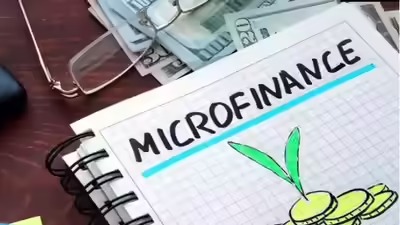 Microfinance Makes A Comeback: Loan Quality At Its Best