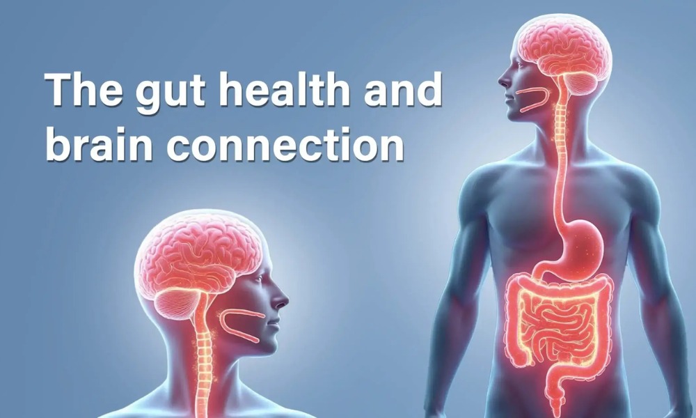 Gut Health May Hold The Key To Memory Revival
