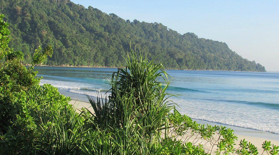 Shore-ly Not Goa! This Indian Beach Rides the Tide to Asia’s Top 10!