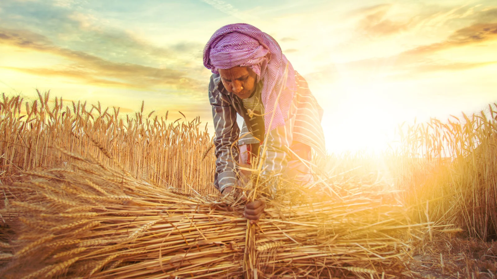 WIN Initiative Empowers Women Farmers with Land Ownership Rights