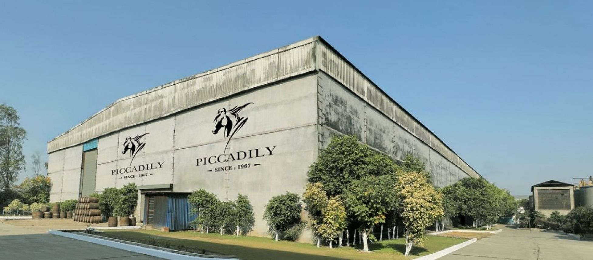 Profitability Blooms: Piccadily Agro Delivers ₹476M Net in December Quarter