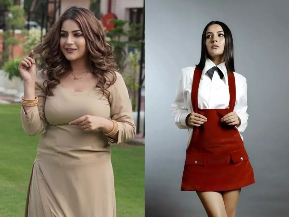 Shehnaaz’s Slim Strategy: How Simplicity and Willpower Shed 12 Kilos in 6 Months