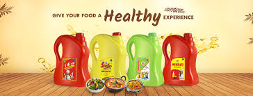 Vijay Solvex Posts Strong Q3 FY2025 Results