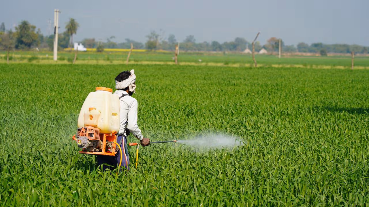 Insecticides India Reports Strong Q4 Earnings—Revenue Hits ₹3.59 Billion!