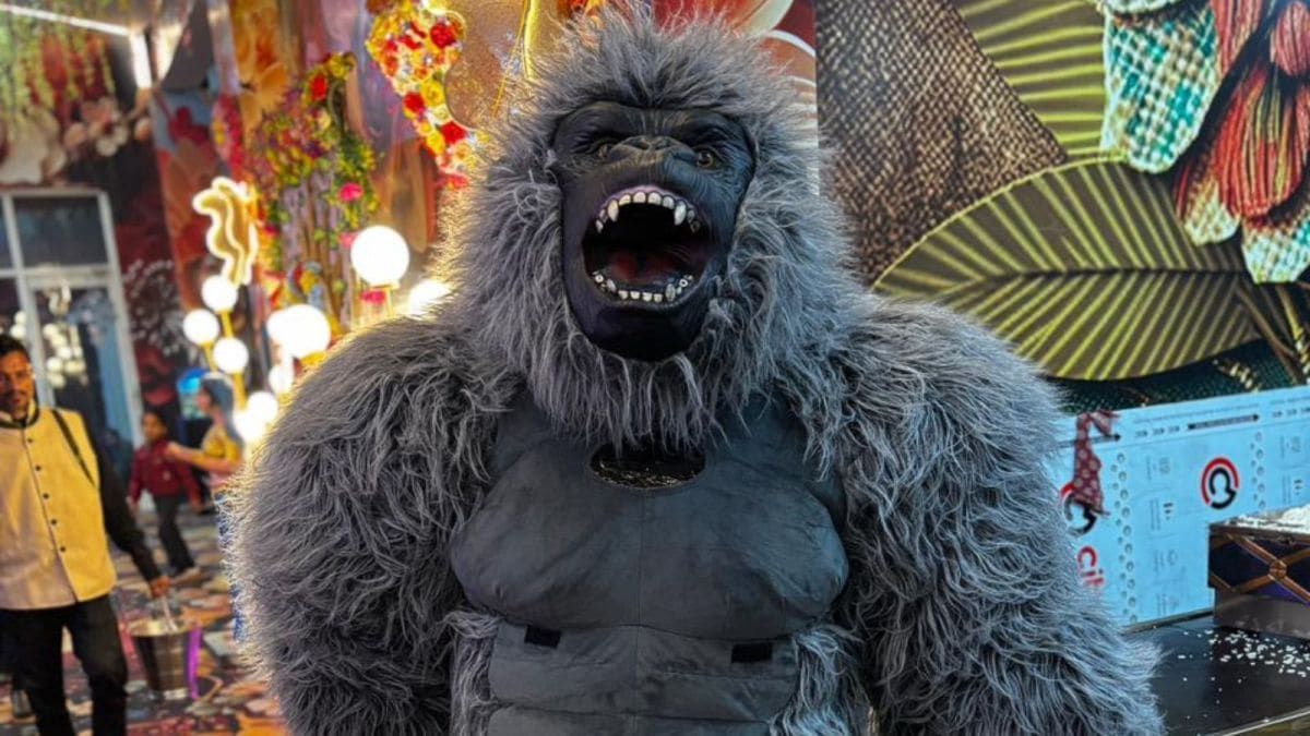 Dancing Gorillas Take Over Indian Weddings As Viral Entertainment Trend
