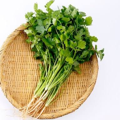 Culinary Sustainability: Why Experts Urge Consumers to Use Coriander Stems